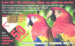 Russia:Used Phonecard, Sankt-Peterburg Taxophones, 50 Units, Birds, Parrots, 2000 - Russia