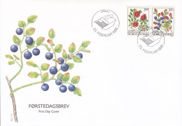 Norway 1995 FDC Cover Ersttags Brief 23.2. Waldbeeren Preiselbeere & Heidelbeere Berries (Pair, Paare) Complete Set !! - FDC