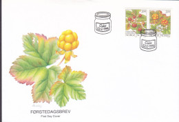 Norway 1996 FDC Cover Ersttags Brief Waldbeeren Walderdbeere Moltebeere Berries (Pair, Paare) Complete Set !! - FDC