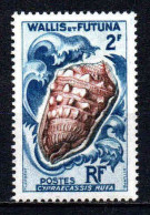 Wallis Et Futuna  - 1962 - Faune - Coquillages - N° 164  - Neuf ** - MNH - Nuevos