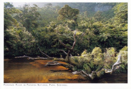 1 AK Neuseeland * Der Pororari River Im Paparoa-Nationalpark Auf Der Südinsel * - Nouvelle-Zélande