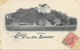 CPA Mühlheim Gruss Aus Dem Donauthal - Mühlheim