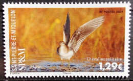 St. Pierre And Miquelon 2024, Bird Chevalier Solitaire, MNH Single Stamp - Nuevos