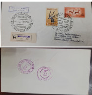 D)1958, SOMALIA, COVER FIRST DAY OF ISSUE, AIR MAIL, WITH MOGADISHU CANCELLATION STAMP, GACELA 3SO STAMP, FDC - Somalia (1960-...)