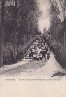 GERAARDSBERGEN GRAMMONT Pélerins Descendant L'Escalier De La Montagne Pelgrims - Geraardsbergen