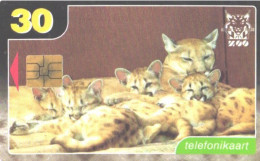 Estonia:Used Phonecard, Eesti Telefon, 30 EEK, Puma, Puma Concolor, 1999 - Sonstige & Ohne Zuordnung
