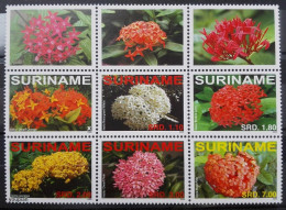 Suriname 2008, Flowers - Ixona, MNH S/S - Surinam