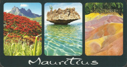 CPM ILE MAURICE - Flame Tree Near Pieter Both Mountain, Crystal Rock, Coloured Earths Of Chamarel - Maurice