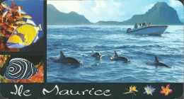 CPM ILE MAURICE - Dauphins Au Large De Rivière Noire - Maurice