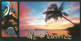 CPM ILE MAURICE - Lever De Soleil Près De Bain Boeuf/ Sunrise Near Bain Boeuf - Maurice