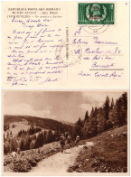 ROMANIA : 1952 - STABILIZAREA MONETARA / MONETARY STABILIZATION - POSTCARD MAILED With OVERPRINTED STAMP - RRR (an188) - Cartas & Documentos