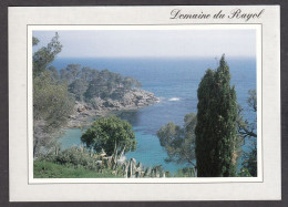 103021/ RAYOL-CANADEL-SUR-MER, L' Anse Du Figuier - Rayol-Canadel-sur-Mer