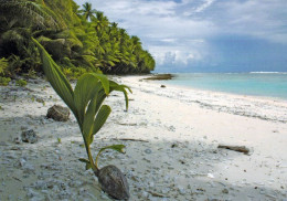 1 AK American Samoa * Ansicht Der Insel Swains - Ein Atoll Im Südpazifik - Es Gehört Zu Amerikanisch Samoa * - Amerikanisch Samoa