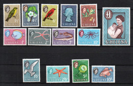 St Helena 1962 Satz 146/59 Freimarken/Definitives Ungebraucht/MLH - Saint Helena Island