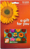 The Home Depot  U.S.A., Carte Cadeau Pour Collection, Sans Valeur, # Homedepot-14a - Cartes De Fidélité Et Cadeau