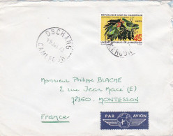CAMEROUN-1973-Lettre De DSCHANG  Pour MONTESSON-78- Timbre (oiseaux ) Seul Sur Lettre.....cachet - Camerun (1960-...)