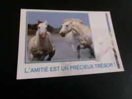 BELLE CARTE BEAUX CHEVAUX  "L'AMITIE EST UN PRECIEUX TRESOR".. - Horses
