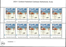 Nederland 2024-1 Caribisch Nederland Aruba Flamingo Sheetlet Postfris/mnh/sans Charniere - Neufs