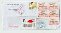 7585 Lettre Cover Recommandé Registered SINGAPOURE SINGAPOUR SINGAPORE RTS NPAI RETURN TO SENDER Lantern Maker Fish - Singapur (1959-...)