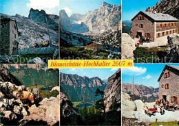 72837285 Blaueishuette Hochkalter Teilansichten Blaueishuette - Berchtesgaden
