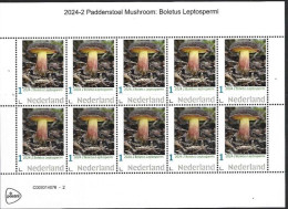 Nederland 2024-2 Paddenstoel Mushroom Boletus Leptospermi Sheetlet  Postfris/mnh/sans Charniere - Ongebruikt