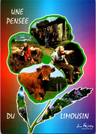 23-2-2024 (1 Y 5) France - Limousin (humour - Pansée) - Limousin