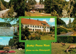 72833786 Bernau Schwarzwald Gasthof Pension Roessle Waldpartie Bach Damwild Hirs - Bernau