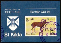 St Kilda Scotland Armoiries Coat Of Arms (A51-256c) - Francobolli