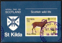 St Kilda Scotland Armoiries Coat Of Arms (A51-256b) - Local Issues