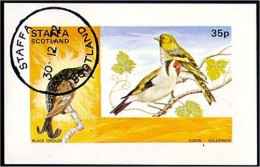 Staffa Scotland Goldfinch (A51-240b) - Local Issues