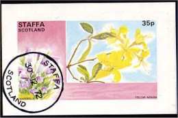 Staffa Scotland Fleur Flower (A51-222b) - Ortsausgaben