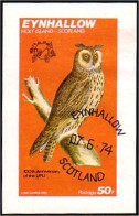 Eynhallow Scotland Hibou Chouette Owl Eule 100th UPU (A51-212c) - Ortsausgaben