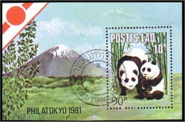 Coree Panda Philatokyo Mt Fuji (A51-107a) - Vulkanen