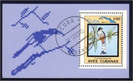Cuba Oiseau Bird Ile Island (A51-898d) - Otros & Sin Clasificación
