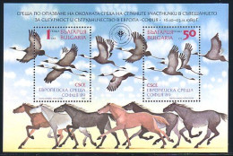 Bulgarie Cranes And Wild Horses MNH ** Neuf SC (A51-771a) - Aves Gruiformes (Grullas)