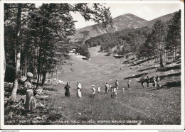 Am164 Cartolina Rieti Monte Terminillo Pian De Valli - Rieti