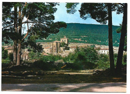 VISTA PARCIAL / PARTIAL VIEW.- VINUESA - SORIA.- ( ESPAÑA ) - Soria