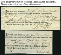 SCHLESWIG-HOLSTEIN HEIDE, 1809-83, Interessante Spezialsammlung Von 65 Postscheinen, Dabei Arge S.H.-Nr. 7, 10, 12, 13,  - Precursores
