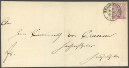 NDP 1a BRIEF, 1869, 1/4 Gr. Braunviolett, Einzelfrankatur Auf Briefhülle (senkrecht Gefaltet) Mit K2 BRAUNSCHWEIG, Prach - Other & Unclassified