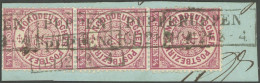 NDP 13b BrfStk, 1869, 1/4 Gr. Bräunlichlila Im Senkrechten Dreierstreifen, R2 PUPPEN, Prachtbriefstück - Oblitérés