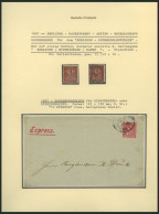BERLIN B 204 , O, PACKETFAHRT GESELLSCHAFT: 1896, Berliner Buchhändler Marke, Ohne Gummi Und Gestempelt, Feinst/Pracht - Correos Privados & Locales