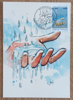 Vatican - CM 2001 - YT N°1230B - EUROPA / L'eau Richesse Naturelle - Cartoline Maximum