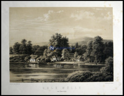 SELK (Selk Mölle Ved Danevirke), Blick über See Auf Den Ort Mit Mühle, Lithographie Mit Tonplatte Von J. Hellesen Nach F - Lithografieën