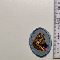 ECUSSON POLICE GENDARMERIE PATCH BADGE CANINE K9 - - Politie & Rijkswacht