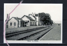 PHOTO SIBRET VAUX SUR SURE  LUXEMBOURG STATION GARE REPRO - Vaux-sur-Sûre