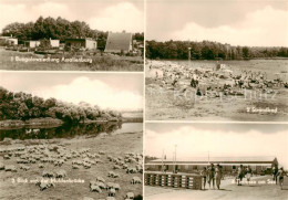 73844302 Thuemlitzsee Grimma Bungalowsiedlung Amalienburg Blick Von Der Muldenbr - Grimma