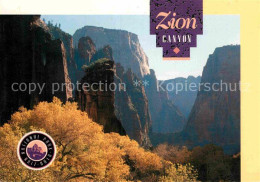 72884007 Utah_US-State Zion National Park Canyon - Other & Unclassified