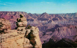 72824048 Arizona_US-State Duck On The Rock Grand Canyon National Park - Otros & Sin Clasificación