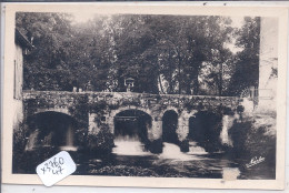 CASTELJALOUX- CHUTES ET VIEUX PONT DE L AVANCE - Casteljaloux