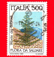 ITALIA - Usato - 1985 - Flora E Fauna Da Salvare - Abete Dei Nebrodi - 500 L. - 1981-90: Oblitérés